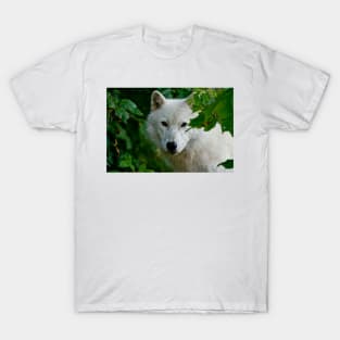 Arctic Wolf T-Shirt